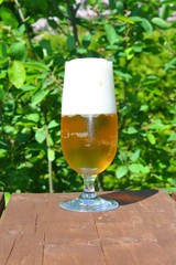 pils frisch gezapft II