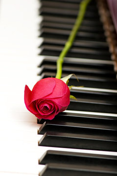 Romantic concept - red rose on piano keys