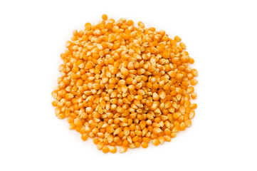 Corn seeds isolated on the white background