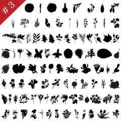 Obraz premium plants silhouette collection # 3