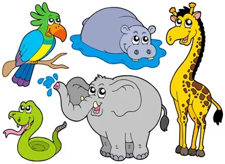 Stickers pour porte Zoo Collection d& 39 animaux sauvages