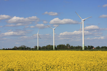 Windenergie und Landwirtschaft