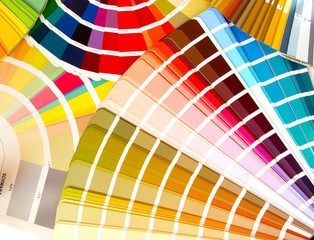 what color to choose?