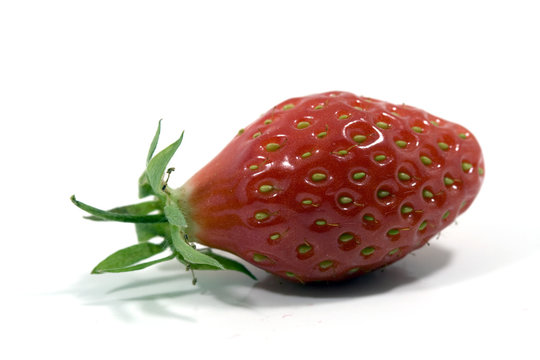 Strawberry isolated on white background