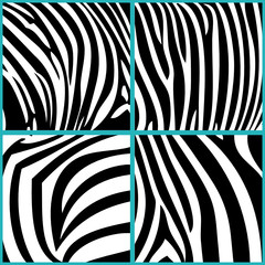 Fototapeta na wymiar 4 verschiedene Zebramuster