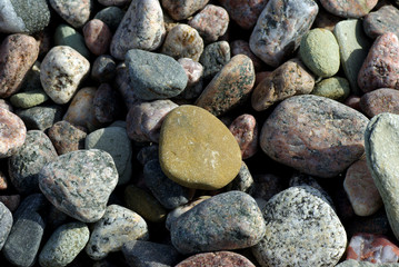 the rocks at the beach