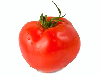 Tomato