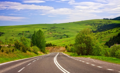 Fototapeta premium Road and sunny summer day