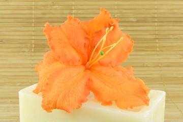 Orange soap and azalea flower - obrazy, fototapety, plakaty