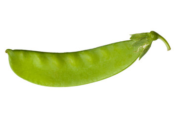 Pea pod isolated on white