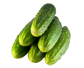 fresh cucumbers