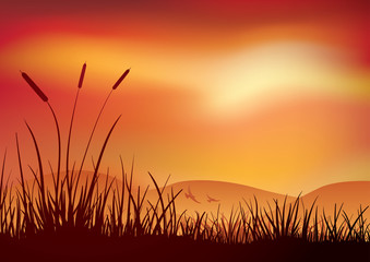 Marshland sunset.