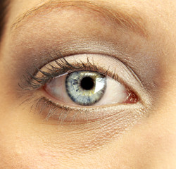 Auge