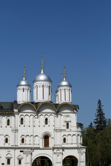 Obraz premium Orthodox cathedral in Moscow Kremlin, Russia