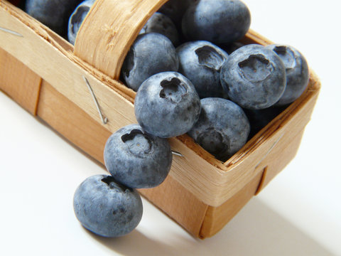 Heidelbeeren III