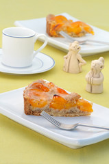 Fruit tart slices