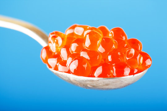 caviare on the spoon..