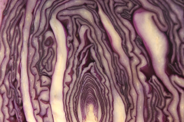 frischer Rotkohl als Gemüse