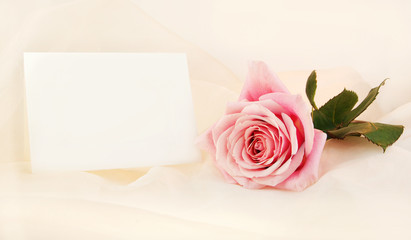 Single Pink Rose and Note