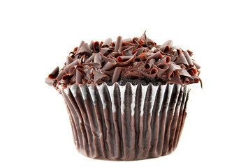 Delicious Chocolate Cupcake