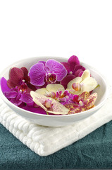Close up of spa towels with orchid