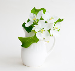 branch of apple in a cruse