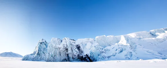 Gordijnen Glacier © Tyler Olson