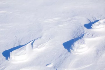 Fototapeten Polar Bear Track © Tyler Olson