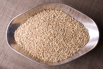 Scoop of Malt
