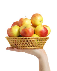 Ripe apples in a wum bowl on a hand