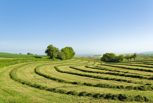sc&egrave;ne de campagne