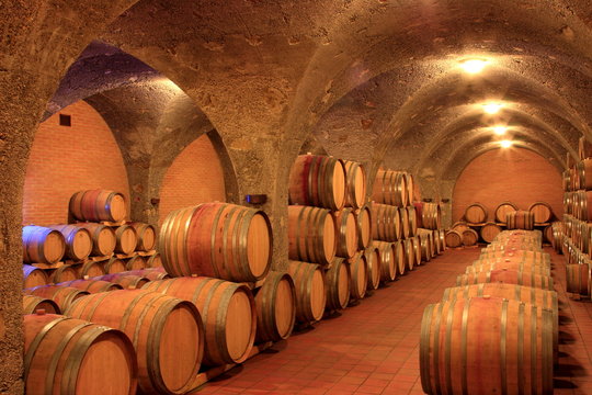 Weinkeller,Rotwein im Barrique-Faß ausgebaut,Toskana,Italien