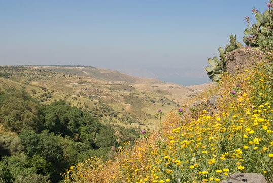 Golan heights and view over the Sea of Galillee