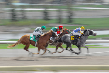 Speeding race horses