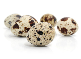 quail eggs isolated on white