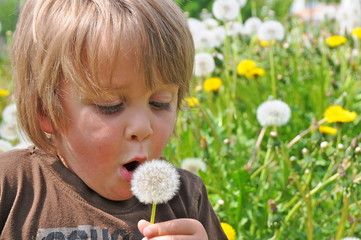 People - Kid - Löwenzahn