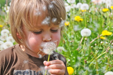 People - Kid - Löwenzahn