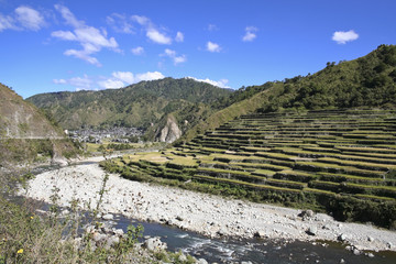 Fototapeta na wymiar Tarasy ryżu w północnej Filipinach