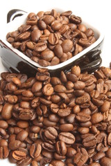 Coffee grain