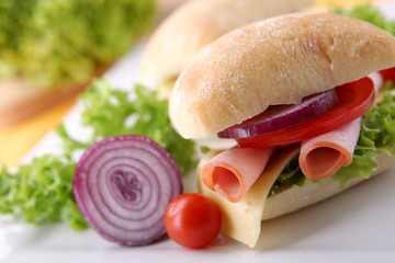 Sandwich with fresh vegetables, ham and cheese
