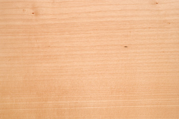 Spitzahorn, gedämpft