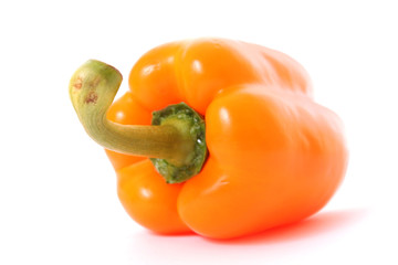 Orange pepper  on white background