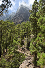 La Palma Caldera de Taburiente
