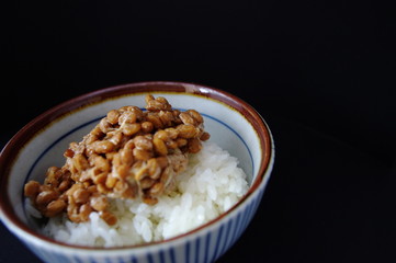 日本食