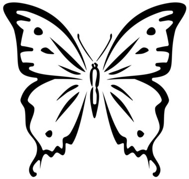 Butterfly (stencil)