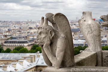 Fototapeta na wymiar Gargoyle w Paryżu Notre Dame w Paryżu