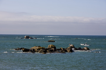 Fototapeta premium wave in the sea in brittany