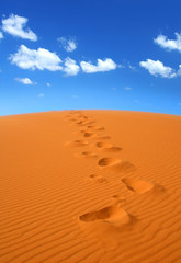 walking on Sahara - 14206242