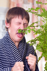 Treatment by leaves of a geranium