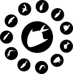 Fish. Set of 12 round vector buttons for web